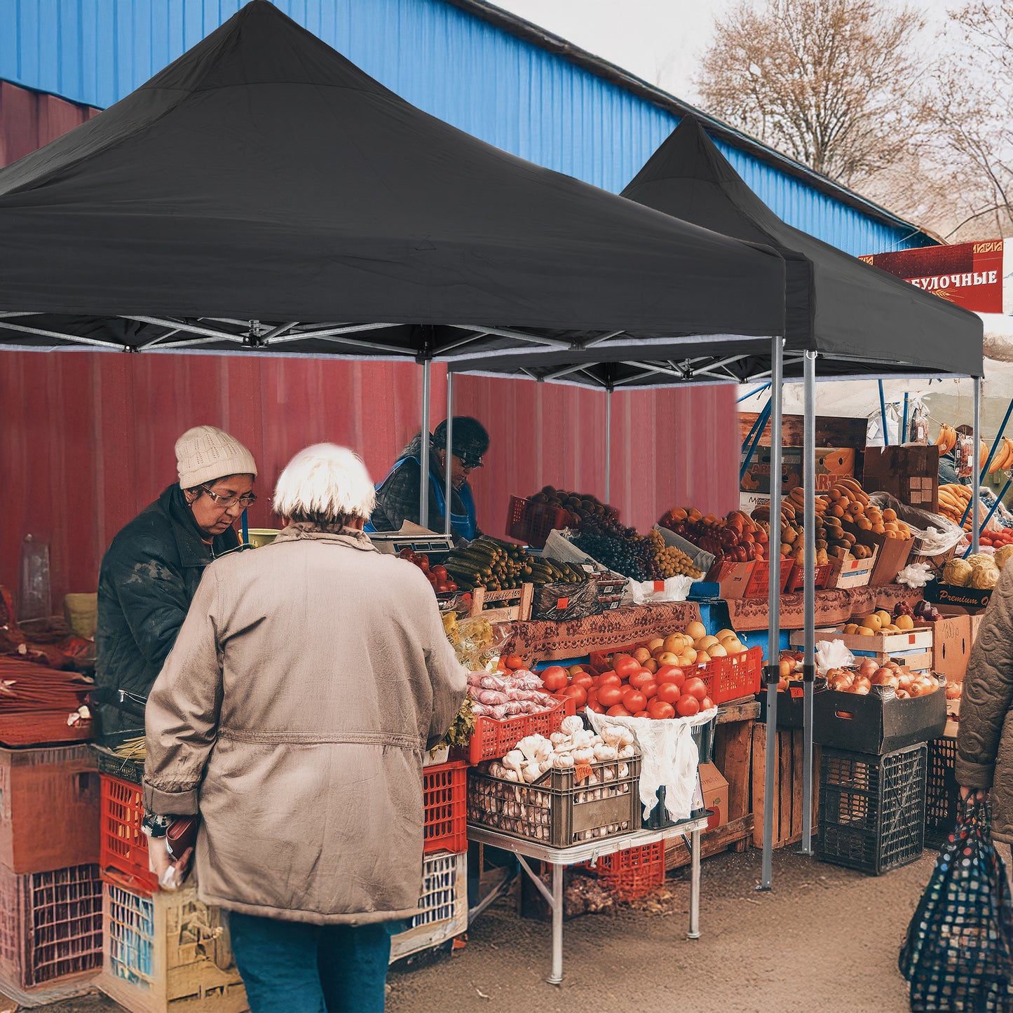 10x10 ft. Pop Up Canopy Tent with Windows Sidewalls and Wheeled Bag - Aoodor