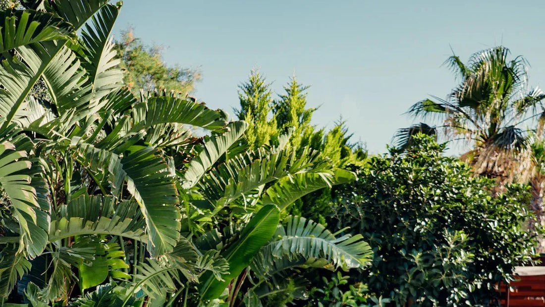 3 Secrets to Affordable Patio Furniture in 2025