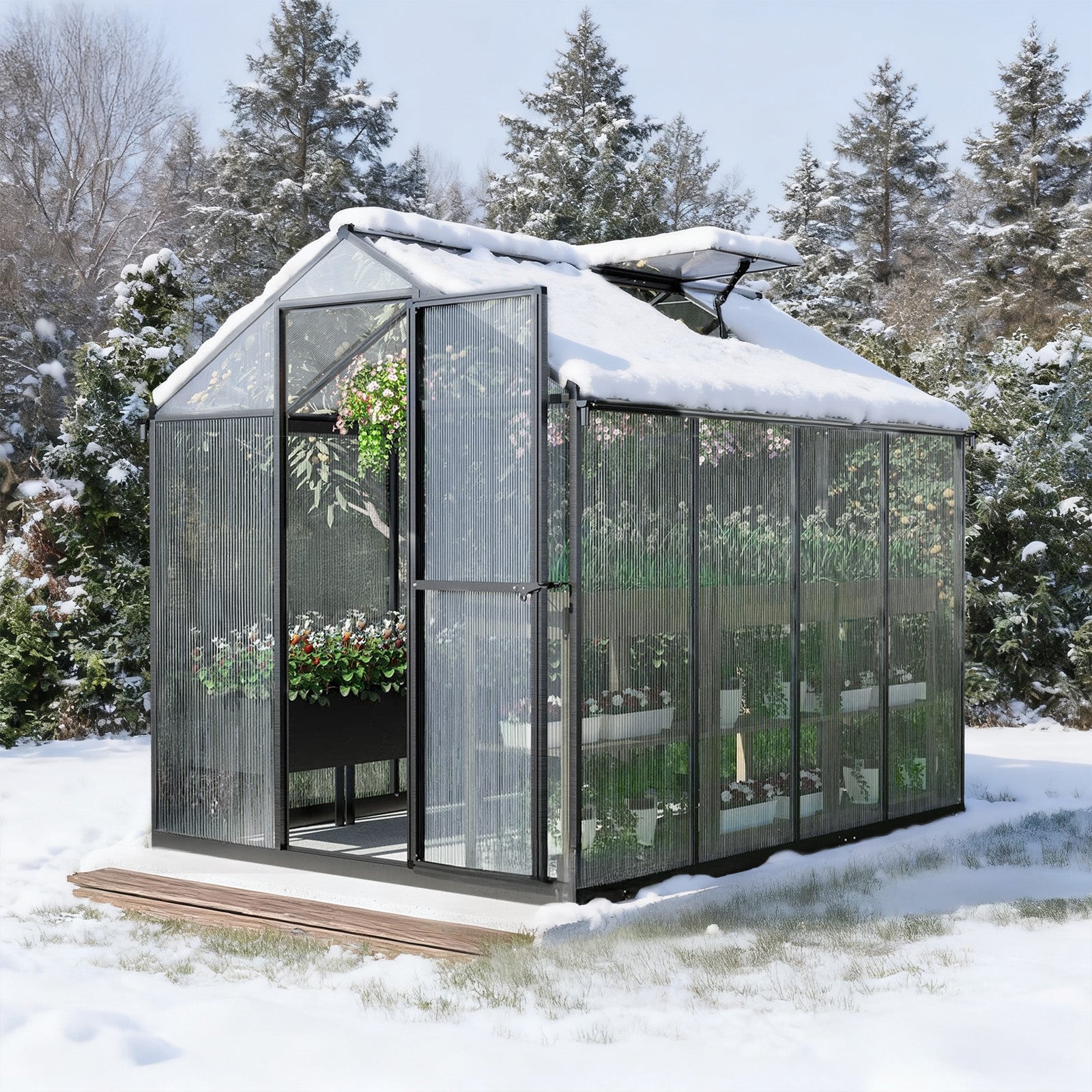 6x8/6x10 ft. Walk-in Polycarbonate Greenhouse with Roof Vent and Door lock - Aoodor 