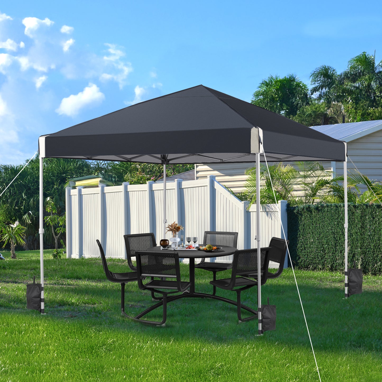 10x10/12x12 ft. Pop Up Canopy Tent with Roller Bag