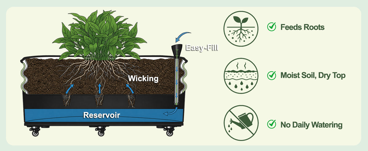Rolling Raised Garden Bed, Self Watering Planter Box